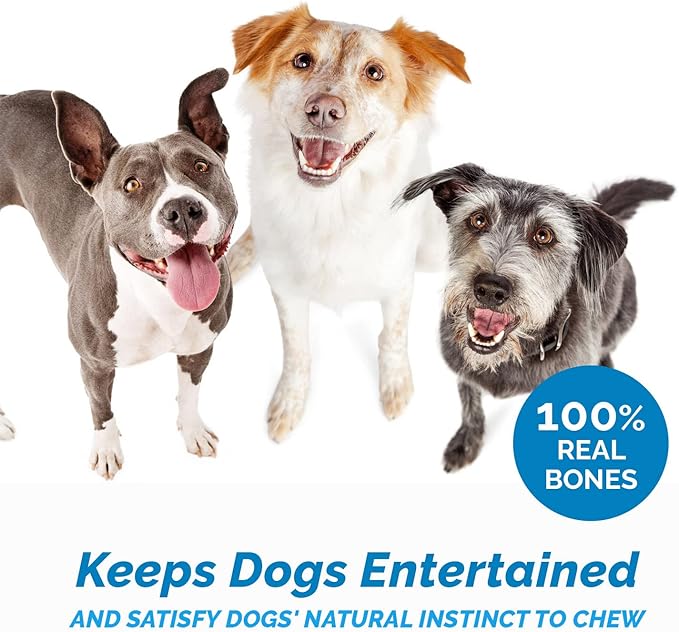 123 Treats Dog Bones for Aggressive Chewers - 100% Natural Pork & Beef Flavored Meaty Dog Chews, Made from Grass Fed Cattle, Grain Free Femur Bone | 2 Count