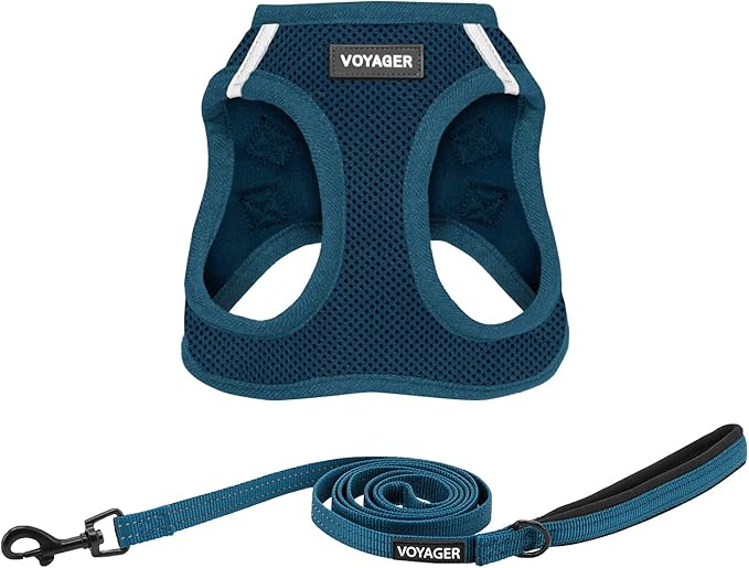 Best Pet Supplies Voyager Step-in Air All Weather Mesh Harness and Reflective Dog 5ft Leash Combo with Neoprene Handle, for Small, Medium and Large Breed Puppies - Set (Blue), Small