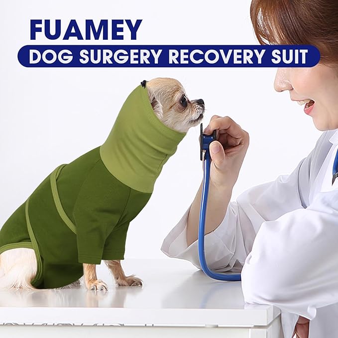 FUAMEY Dog Recovery Suit Post Surgery, Large Doggie Cone Alternative to Stop Licking, Surgical Suit After Spay Female Onesie for Dogs, Post Neutering Dog Protection Male, Golden Retriever (Green, XL)