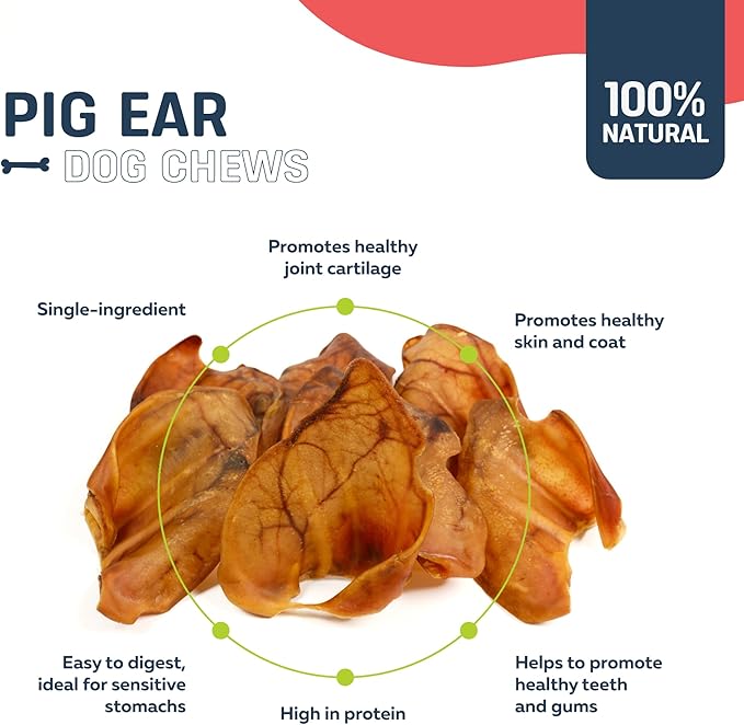 Big Lu – Whole Pig Ears for Dogs, 6 Count, All-Natural Single-Ingredient Pork Treats for Medium and Large Dogs, Easily Digestible, Supports Joint Health with Glucosamine and Chondroitin