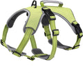 BELPRO Multi-Use Support Dog Harness, Escape Proof No Pull Reflective Adjustable Vest with Durable Handle, Dog Walking Harness for Big/Active Dogs (Green, L)