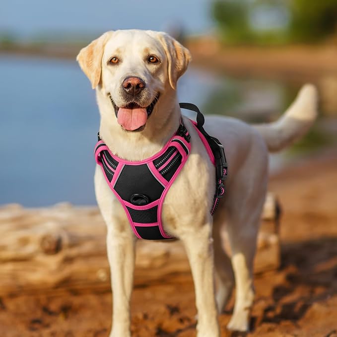 rabbitgoo Dog Harness No Pull with 2 Leash Clips, Adjustable Soft Padded, Reflective Oxford No Choke Pet Vest with Easy Control Handle for Large Dogs, Black & Hot Pink, L