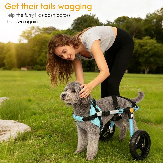 TailWaggers Dog Wheelchair for Back Legs | Adjustable Mobility Aid | All-Terrain Wheels
