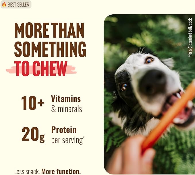 Natural Farm Odor-Free Thin Bully Sticks (12”, 25-Pack) All-Natural Long-Lasting Dog Chews, 100% Beef Pizzle, Grass-Fed, Grain-Free, Protein for Muscle Development & Energy, Perfect for Large Dogs