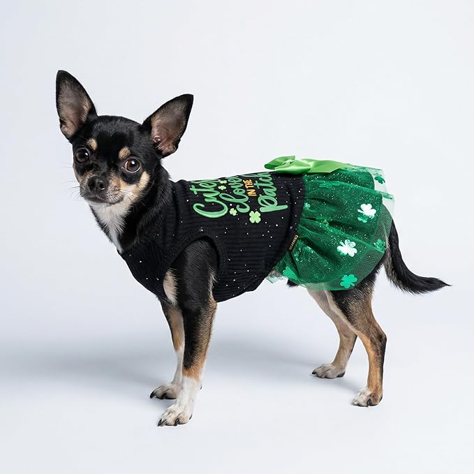 Fitwarm Cutest Clover in the Patch Dog Dress, St Patricks Day Dog Clothes for Small Dogs Girl, Funny Pet Cat Puppy Holiday Outfit, Black, Emerald Green, XXS