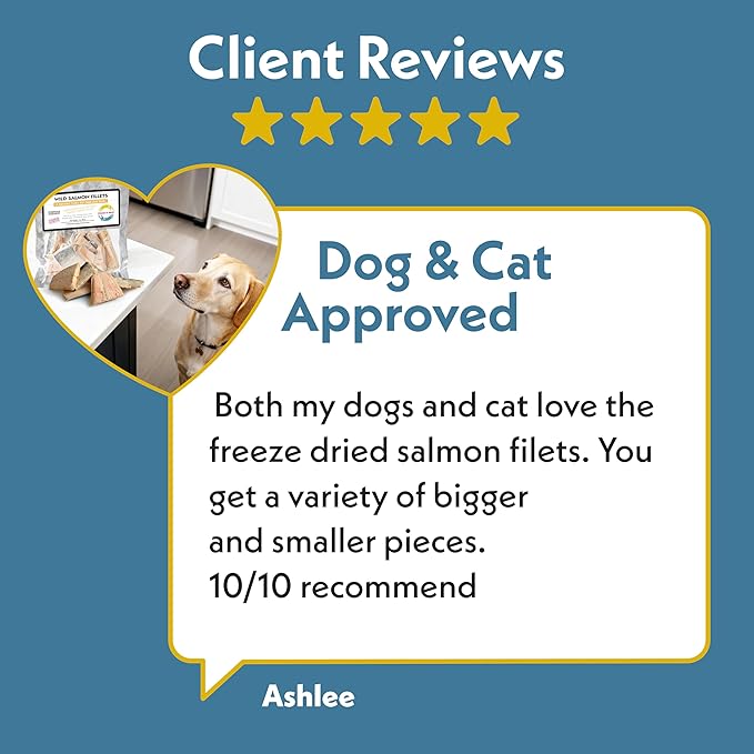 Fresh Is Best Salmon Fillets Freeze Dried Dog Treats – Raw Freeze Dried Fish for Cats & Canines in Resealable Zipper Bag – High-Protein Salmon Dog Treats – Made in The USA