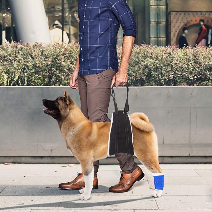 voopet Dog Sling, Help Lift Back Legs, Portable Hip Support Harness Assist Lift Dogs Rear for Canine Aid - Pet Lift Harness for Small Medium & Large Dogs Hind Leg Support Rehabilitation