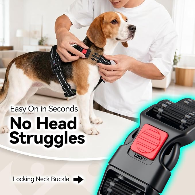 PHOEPET No Pull Dog Harness with Handle Front & Back Clip, Easy on Lockable Snap Buckle at Neck, Adjustable Reflective Vest with Handle for Small Medium Large Dogs (S, Misty Green)