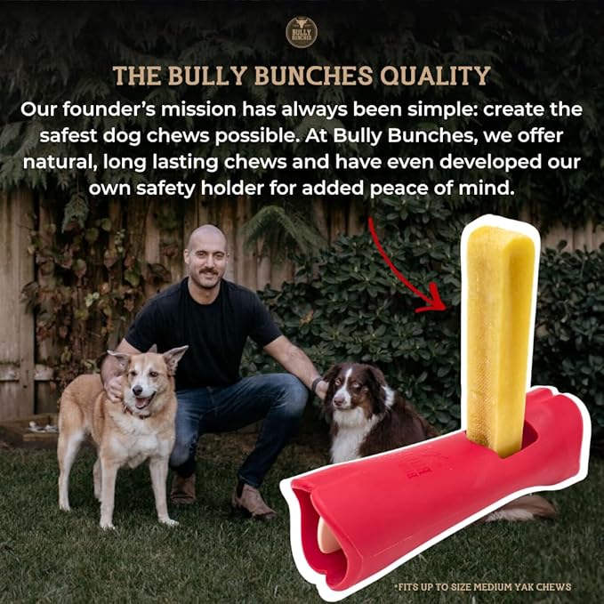 Bully Bunches Premium Fruit-Flavored Himalayan Yak Chew for Dogs - 100g, All-Natural, Long-Lasting, Authentic Yak Milk, Healthy Dental Chew, High-Protein (Medium Blueberry - 3PK, Blueberry)