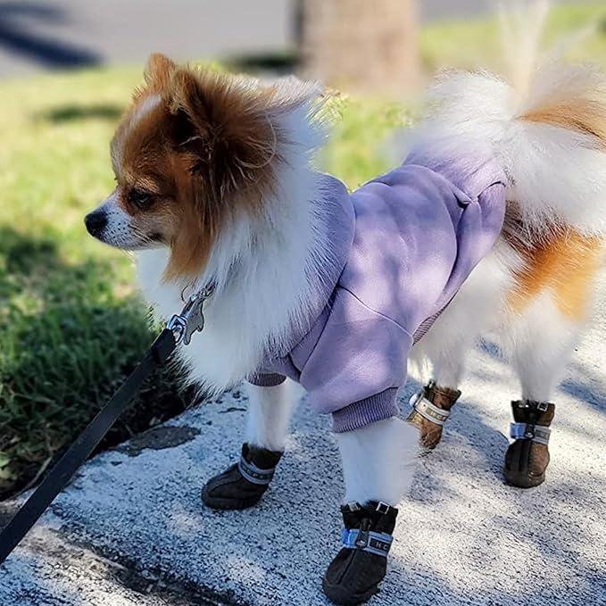 Jecikelon Winter Dog Hoodie Sweatshirts with Pockets Warm Dog Clothes for Small Dogs Chihuahua Coat Clothing Puppy Cat Custume (Purple, Large)