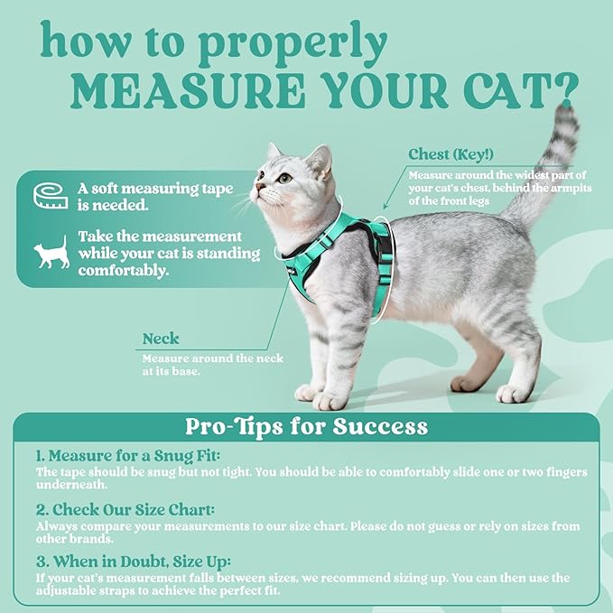 rabbitgoo Cat Harness and Leash for Walking, Escape Proof Soft Adjustable Vest Harnesses for Cats, Easy Control Breathable Reflective Strips Jacket, Emerald, XS