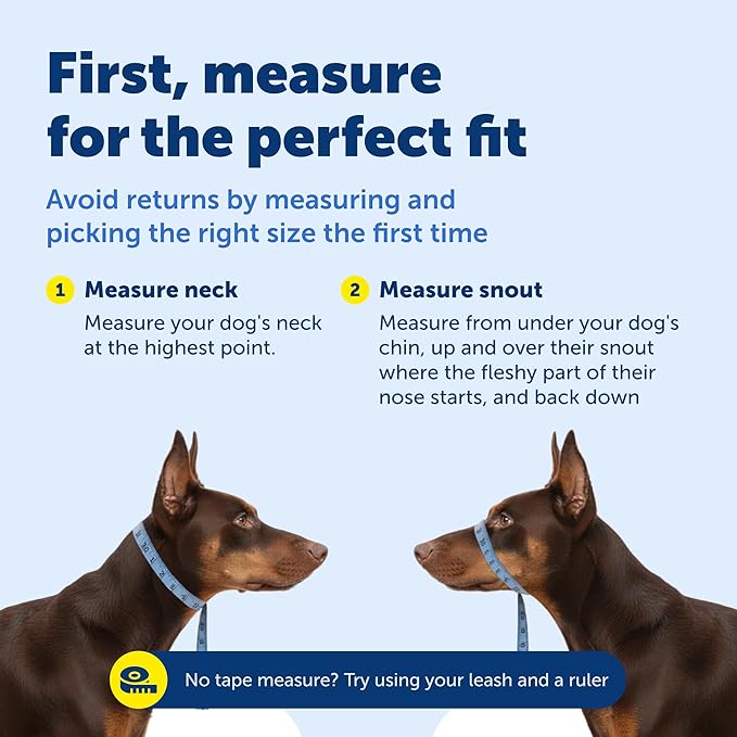 PetSafe Gentle Leader Headcollar No-Pull Dog Collar - Helps Improve Walks - Durable Nylon Construction - Padded Nose Loop - Adjustable Fit - Comfort Walking Halter - Medium, Raspberry Pink