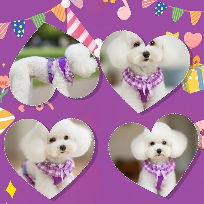 EXPAWLORER Cute Dog Harness and Leash Set - Purple Girl Dog Harness Checkered Step-in Design, Easy Adjustable No-Choke Lightweight Breathable Vest for Small Medium Dogs Outdoor Walking, Medium