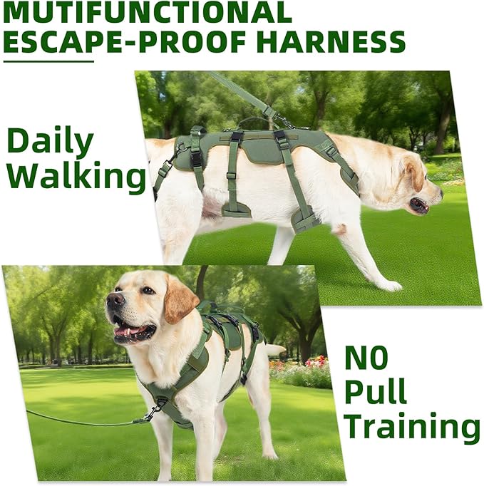 PUPTECK Dog Lift Harness for Medium Large Sized Dog, Rehabilitation Sling for Hind Leg Support, Multifunctional Mobility Assistance Harness for Old, Disabled, Joint Injuries, Paralysis Dogs, Green L