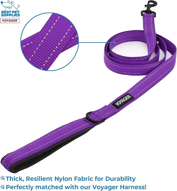 Voyager Step-in Air All Weather Mesh Harness and Reflective Dog 5 ft Leash Combo with Neoprene Handle, for Small, Medium and Large Breed Puppies by Best Pet Supplies - Purple, Small