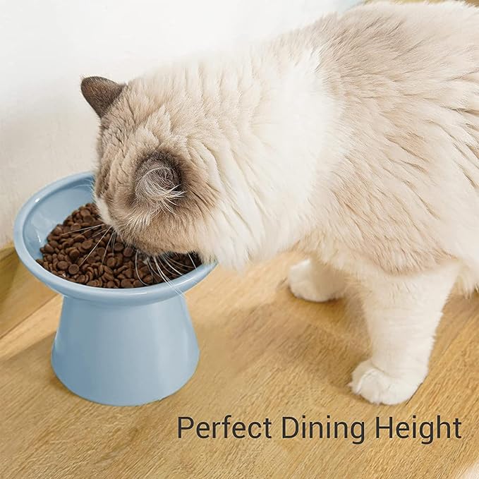 CEEFU Extra Wide Elevated Ceramic Cat Food Bowl - 6.2" Shallow Dish for Whisker Fatigue Relief, 5" Height for Easy Feeding, Lead & Cadmium Free, Durable Raised Cat Food Bowls, Blue