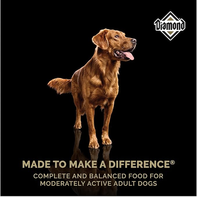 Diamond Maintenance Adult Dry Dog Food 22/12 for Moderately Active Dogs 40lb Bag