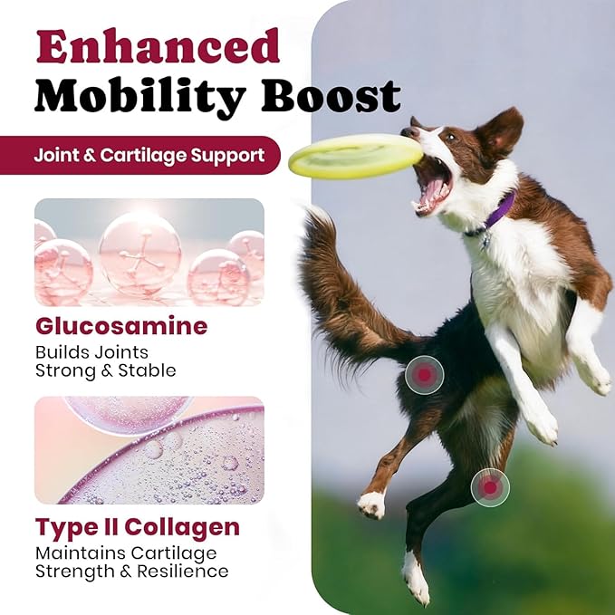 Glucosamine for Dogs - Hip and Joint Supplement Chews for Senior & Large Breed, Joint Supplement for Dogs with Chondroitin, Wuffe Joint Chews for Pain Relief - 60-Day - 180 Ct