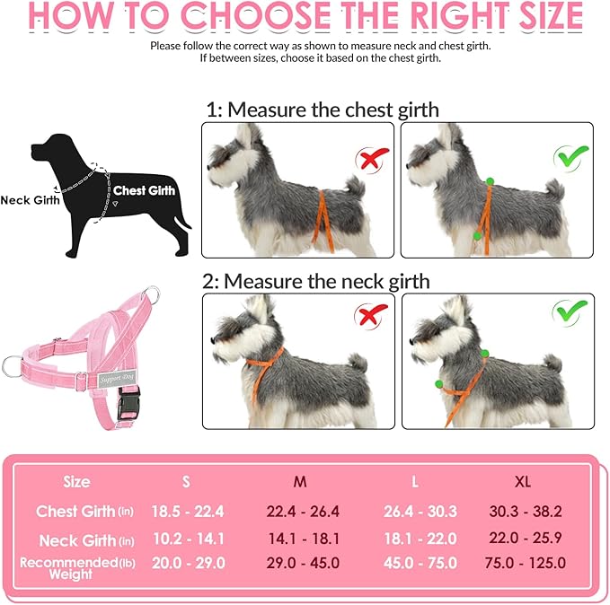 SlowTon No Pull Dog Harness - Heavy Duty Dog Harness and Leash Set for Medium Large Dogs, Reflective Tactical Harness with Soft Padded and Front Clip for Easy Walk and Training (PI, M)