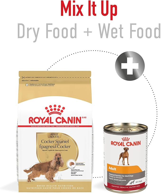 Royal Canin Breed Health Nutrition Cocker Spaniel Adult Dry Dog Food, 25 lb Bag