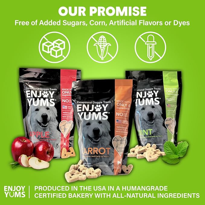 Mint Dog Treats – 1 lb Bag – All-Natural, Low Sugar Dog Biscuits with Peppermint & Honey – Vet-Approved – Made in USA