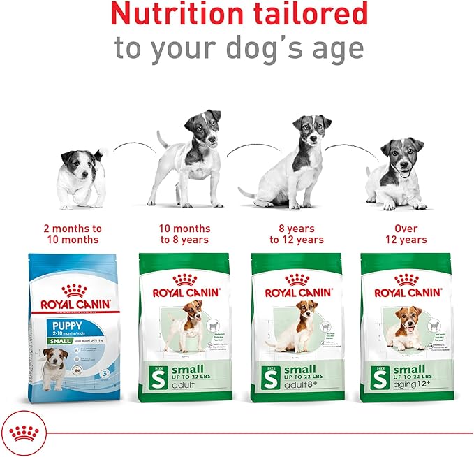 Royal Canin Size Health Nutrition Small 8+ Senior Dry Dog Food, 2.5 lb Bag