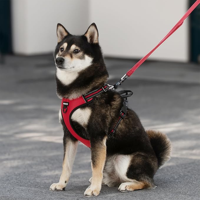 Voyager Dog Harness Dual Leash Attachment No-Pull Control Adjustable Soft but Strong Pet Harness for Medium and Large Dogs with 3M Reflective Technology, Red Lattice Nylon, XS (Chest: 13-16")