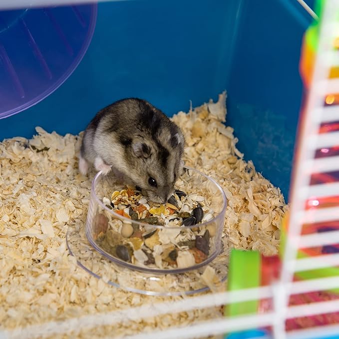 PawHut Extra Large 23" Hamster Cage with Tubes and Tunnels, Portable Carry Handles, Rat House and Habitats Big 5-Tier Design, Mouse Cage Includes Exercise Wheel, Water Bottle, Food Dish, Blue