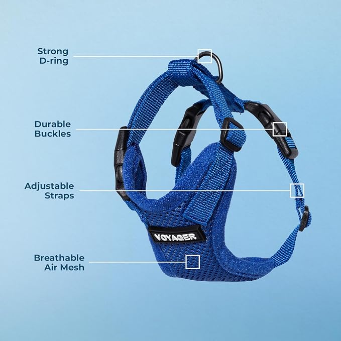 Voyager Escape-Proof Step-in Lock Cat Harness & 5ft Neoprene-Handle Leash Set All-Weather Mesh with Reflective Stitching for Small to Large Cats by Best Pet Supplies, Royal Blue, XXS