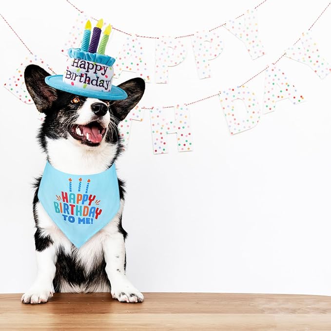 Medium Dog Birthday Cake Hat & Bandana Scarfs Set Blue, Handmade Dog Happy Birthday Hat with Colorful Candles, Medium Dog Birthday Party Supplies Decorations
