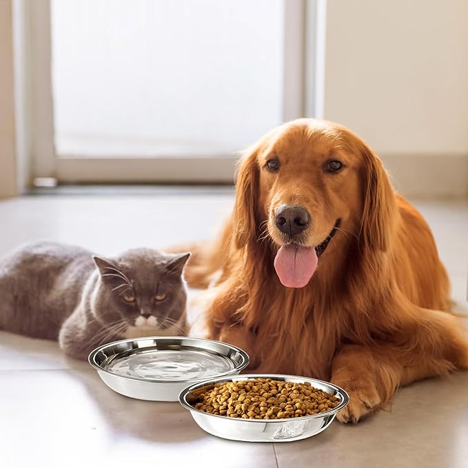 DEAYOU 5 Pack Stainless Steel Cat Bowls, 7.7" Wide Shallow Cat Food and Water Dish, 16 OZ Basic Pet Feed Bowl, Metal Replacement Bowl Plate for Kitten, Puppy, Dog, Elevated Stand, Whisker Friendly