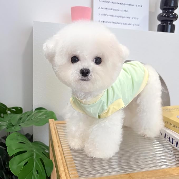 Dog Cat Summer Tank Top T-Shirt - Breathable Cool Ice Silk Sun Protection Pet Tank Top with Bear Print, Soft Stretch Puppy Clothes for Small and Medium Dogs and Cats