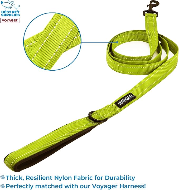 Voyager Step-in Air All Weather Mesh Harness and Reflective Dog 5 ft Leash Combo with Neoprene Handle, for Small, Medium and Large Breed Puppies by Best Pet Supplies - Green, XX-Small
