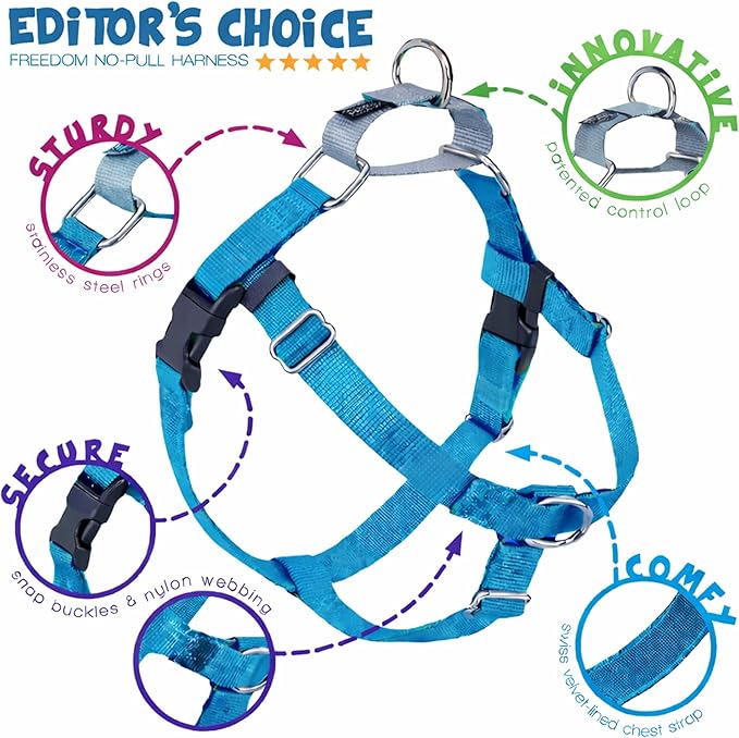 2 Hounds Design Freedom No Pull Dog Harness, Adjustable Harness, Easy Walking & Comfortable Control, Fits Small, Medium & Large Dogs, Solid Colors, Made in USA, 5/8" MD, Turquoise