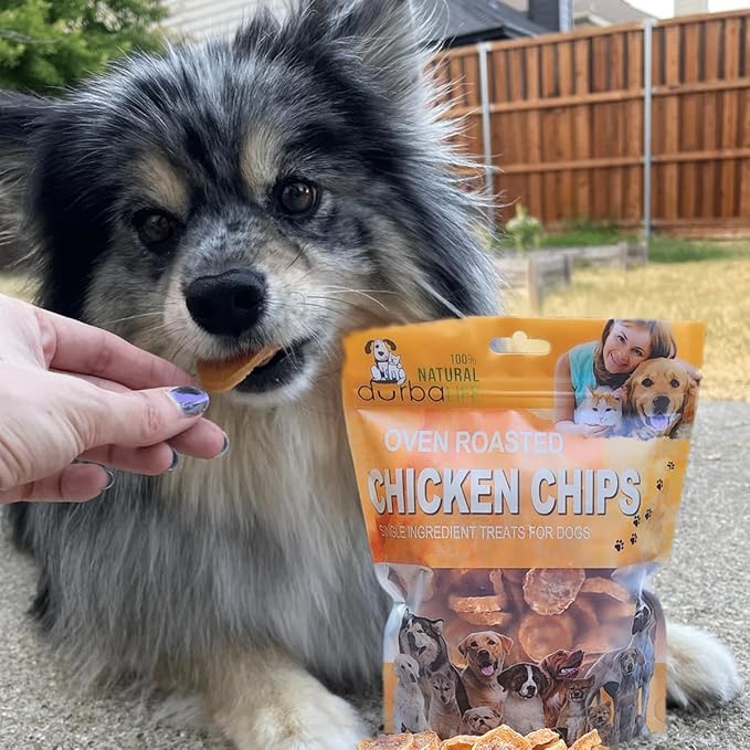 Chicken Chips Dehydrated Single Ingredient Treats for Dogs | Easy Chew | 1" Treat Size Ideal for Dog Training, Especially Puppies (6.0 oz (170g))