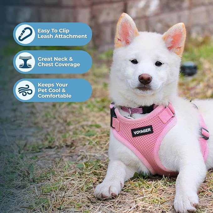 Best Pet Supplies Voyager Step-in Lock Pet Harness w Reflective Pet Leash Combo Set with Neoprene Handle 5ft - Supports Small, Medium and Large Breed Puppies/Cats - Pink, S