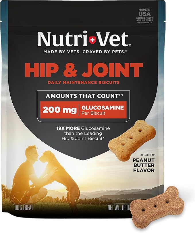 Nutri-Vet Hip & Joint Biscuits for Dogs, Tasty Glucosamine Treat, Puppy Supplements, Dog Joint Supplement, Small Sized Biscuit with 200mg Glucosamine, Puppy Essentials, Peanut Butter Flavor, 16 oz