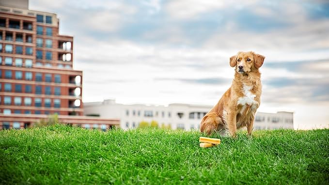 peaksNpaws Himalayan Yak Chews, High Protein Dog Treat for Aggressive Chewers, Natural, Long Lasting, Lactose Free Chew Stick for Pet Under 35 lbs, 3 Medium Treats, 100% Eco-Friendly Packaging