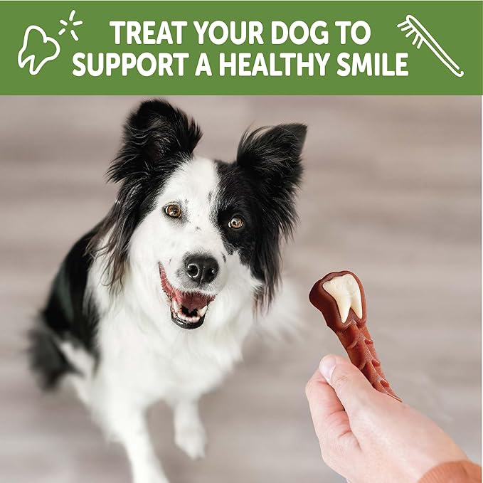 Whimzees Wellness Brushzees Dog Dental Treats, Medium Size Stick, (12 Count)