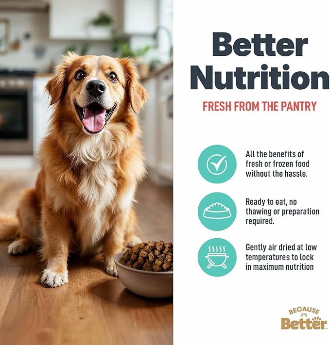 Because It’s Better Slow Baked & Air Dried Dog Food - Real Salmon & Veggies - Complete & Balanced Dry Dog Food - Grain Free, High Protein, Natural Nutrition for All Life Stages, 3 lb Bag