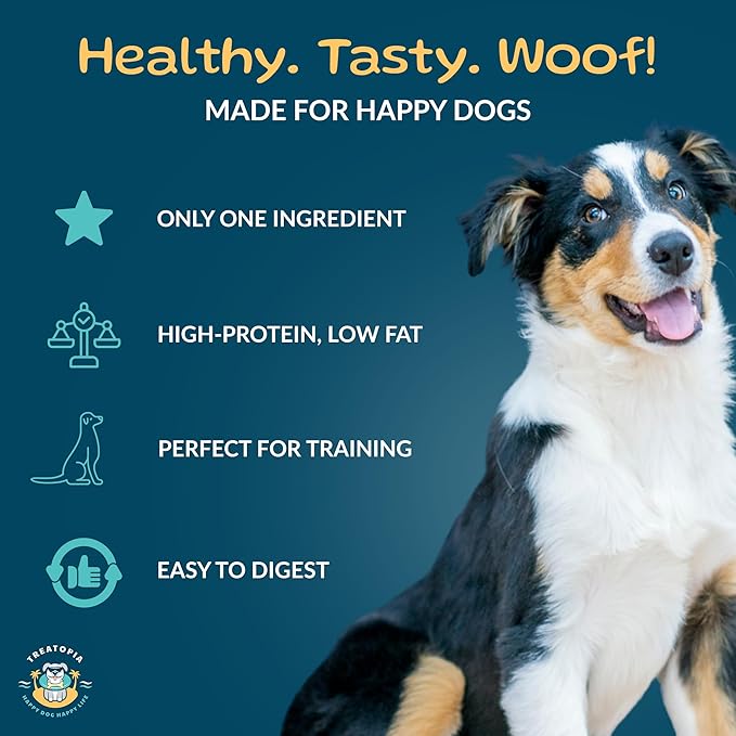 TREATOPIA Adventure Tail Wagger Dog Bones, 10-Pack 8–10" Beef Rib – Long-Lasting Natural Chews for Medium & Large Dogs, USA Made, Single Ingredient, Hand-Trimmed, Slow-Roasted, No Additives or Fillers
