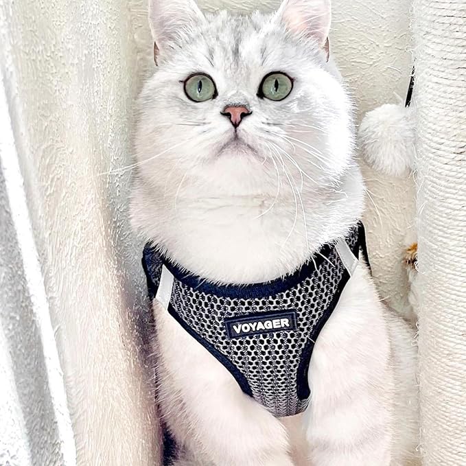 Best Pet Supplies Voyager Step-in Air Harness - All Weather Mesh, Reflective, No Pull Harness for Dogs, Cats - Secure with Hook & Loop Fastener, Buckle, Double D-Rings - Gray 2-Tone, XS