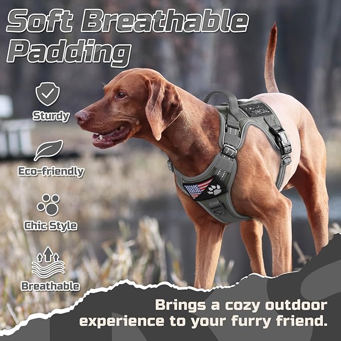 rabbitgoo Tactical Dog Harness for Small Dogs, No Pull Military Service Vest with Handle & Molle, Easy Control for Training Walking, Adjustable Reflective Straps, Dark Grey, S
