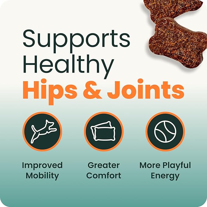 VetriScience Extra Strength Hip & Joint Supplement for Dogs – Supports Joint Health & Mobility, Vet-formulated w/Glucosamine, MSM & Green-Lipped Mussel – Chicken Flavor, 120 Chews