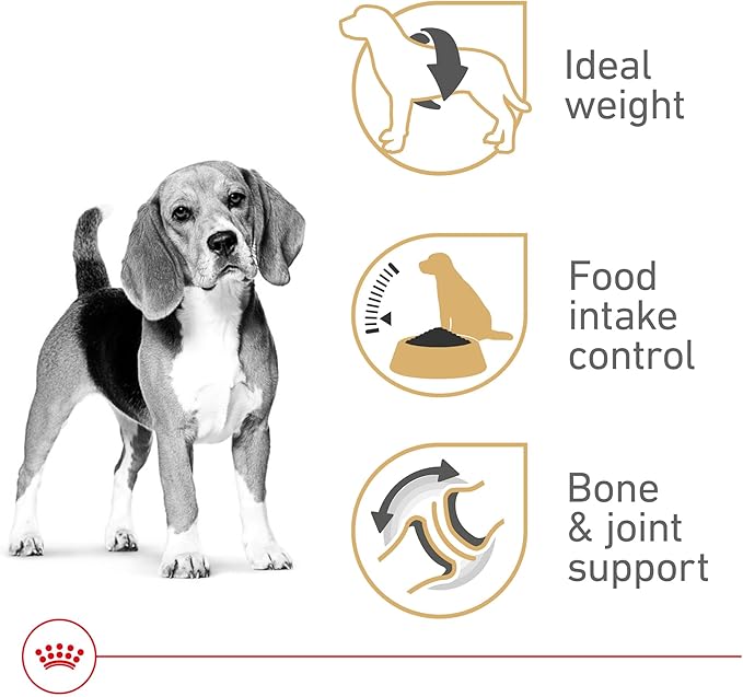 Royal Canin Beagle Adult Dry Dog Food, 6 lb bag