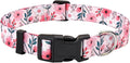 Floral Dog Collar, Adjustable Soft Nylon Pet Collar for Small Medium Large Dogs, Cute Flower Pattern Dog Collar for Girl Boy Dogs(Blush Vine,S)