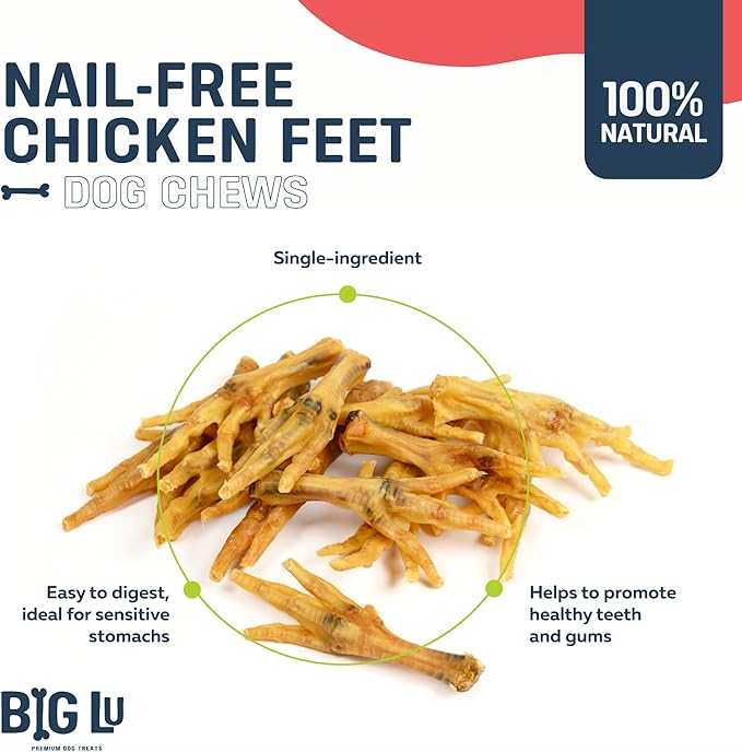 Big Lu – Nail-Free Chicken Feet Dog Chews, (100-Pack) | 100% Natural Single-Ingredient Treats, Rawhide-Free, Long-Lasting, Rich in Glucosamine and Chondroitin for Joint Health