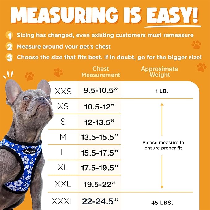 Bark Appeal Coral Red Plaid Step-in Dog Harness for XS to Small Sized Pets – Updated Sizing, Re-Measuring is Essential – Soft Vest Harness – Anti-Choke with Adjustable Strap & Heavy Duty Clip – S