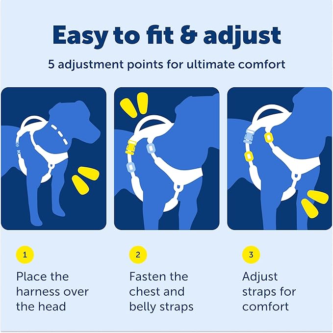 PetSafe Easy Walk Comfort No-Pull Dog Harness Full-Body Padding - Better Walks on the First Use - 5 Points of Adjustment X-Small, Black