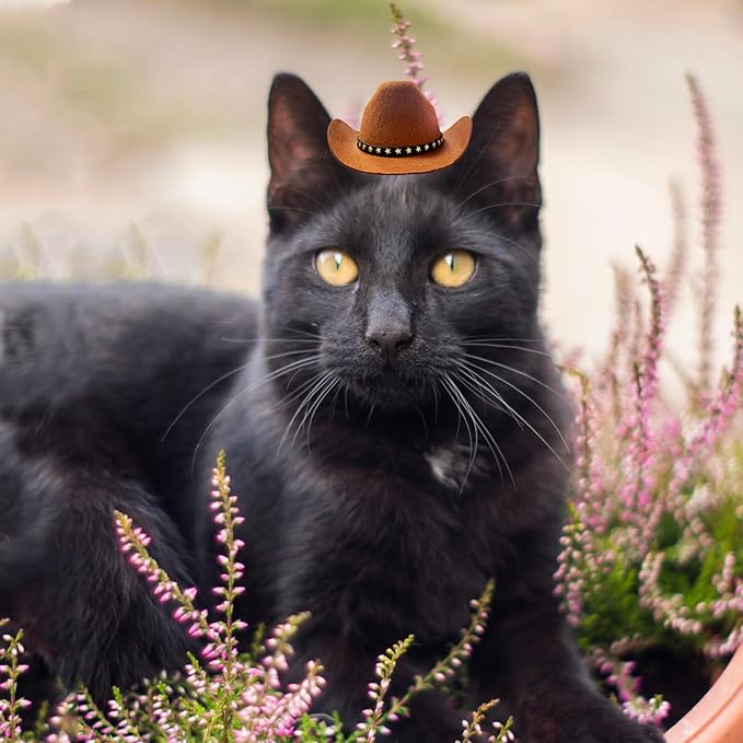 Dog and Cat Cowboy Hat with Bandana Scarf - Mini Pet Costume for Halloween, Holiday, Party Decoration (Brown, Small)